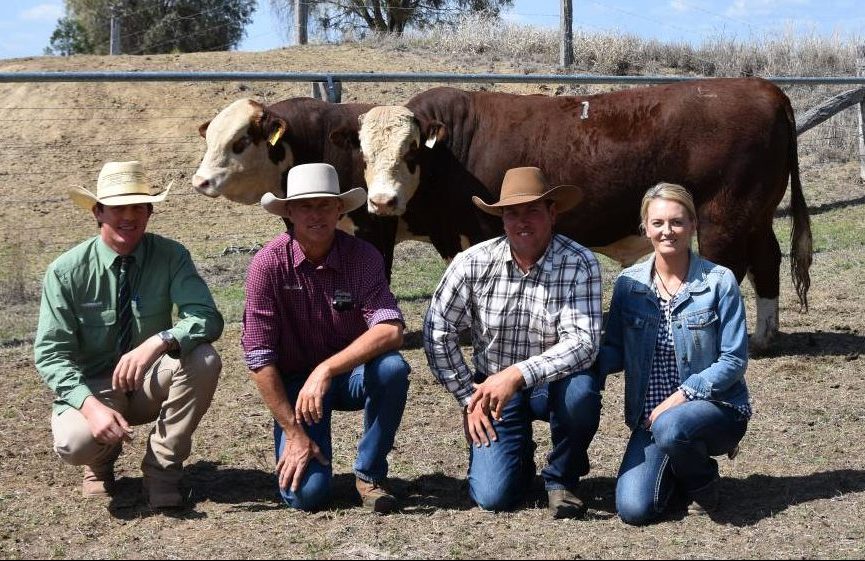 2018 On Property Bull Sale