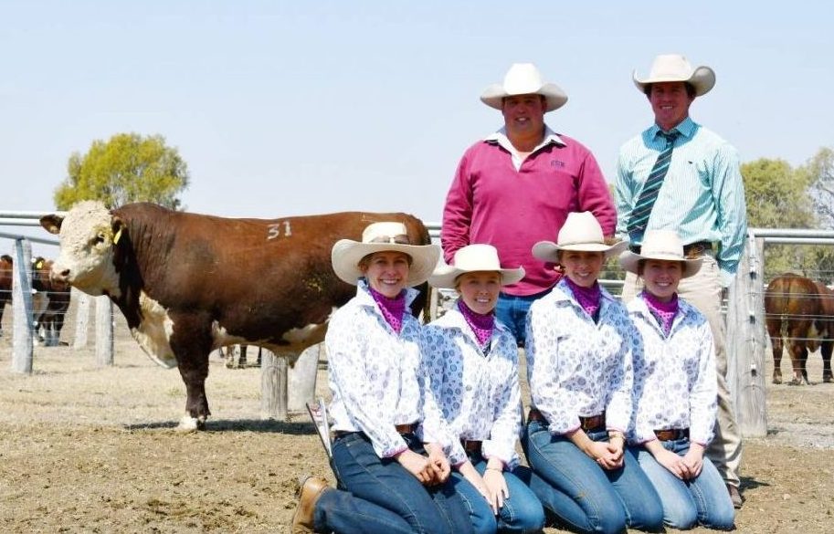 2019 Bull Sale Report