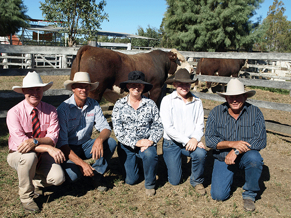 2013 Bull Sale Reports