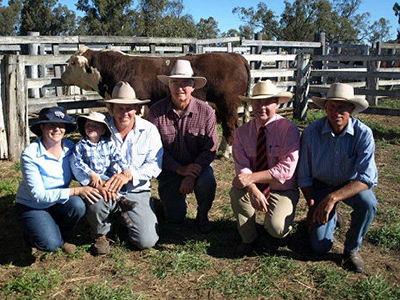 2011 Bull Sale Report