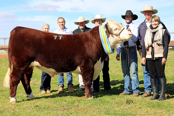 Talbalba outlays $32000 for top price bull – 2018 Dubbo National Show & Sale