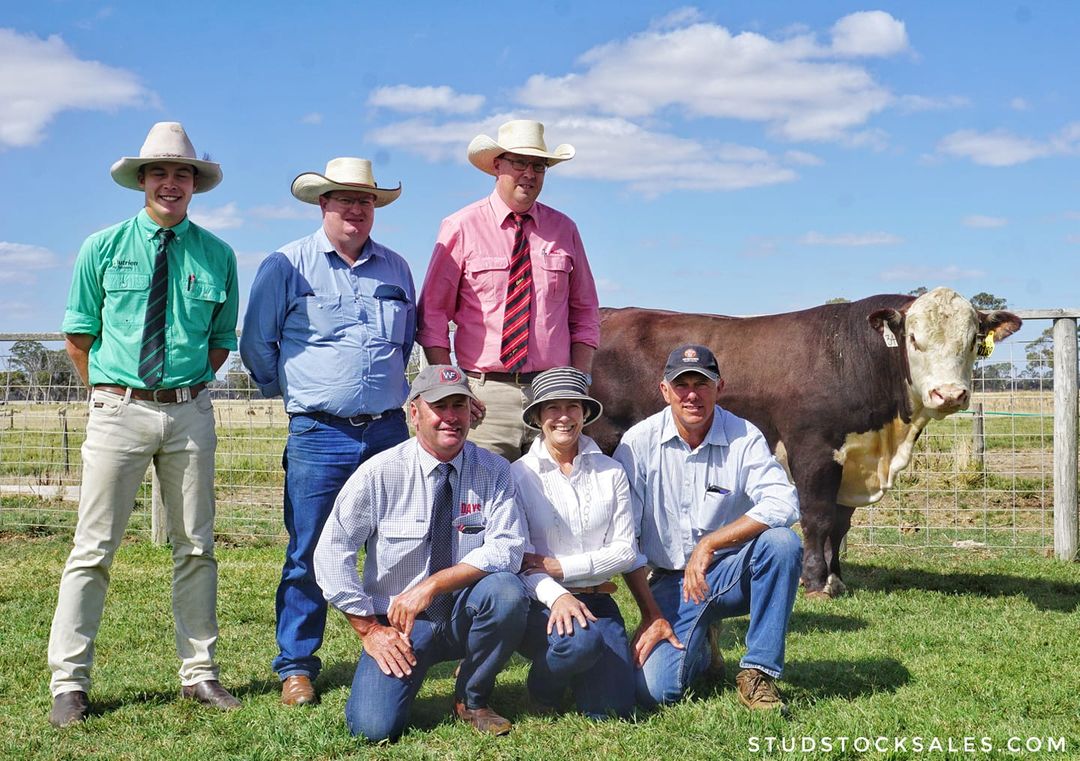 $40,000 sire purchased at Day’s Whiteface/ Allendale Bull Sale S.A
