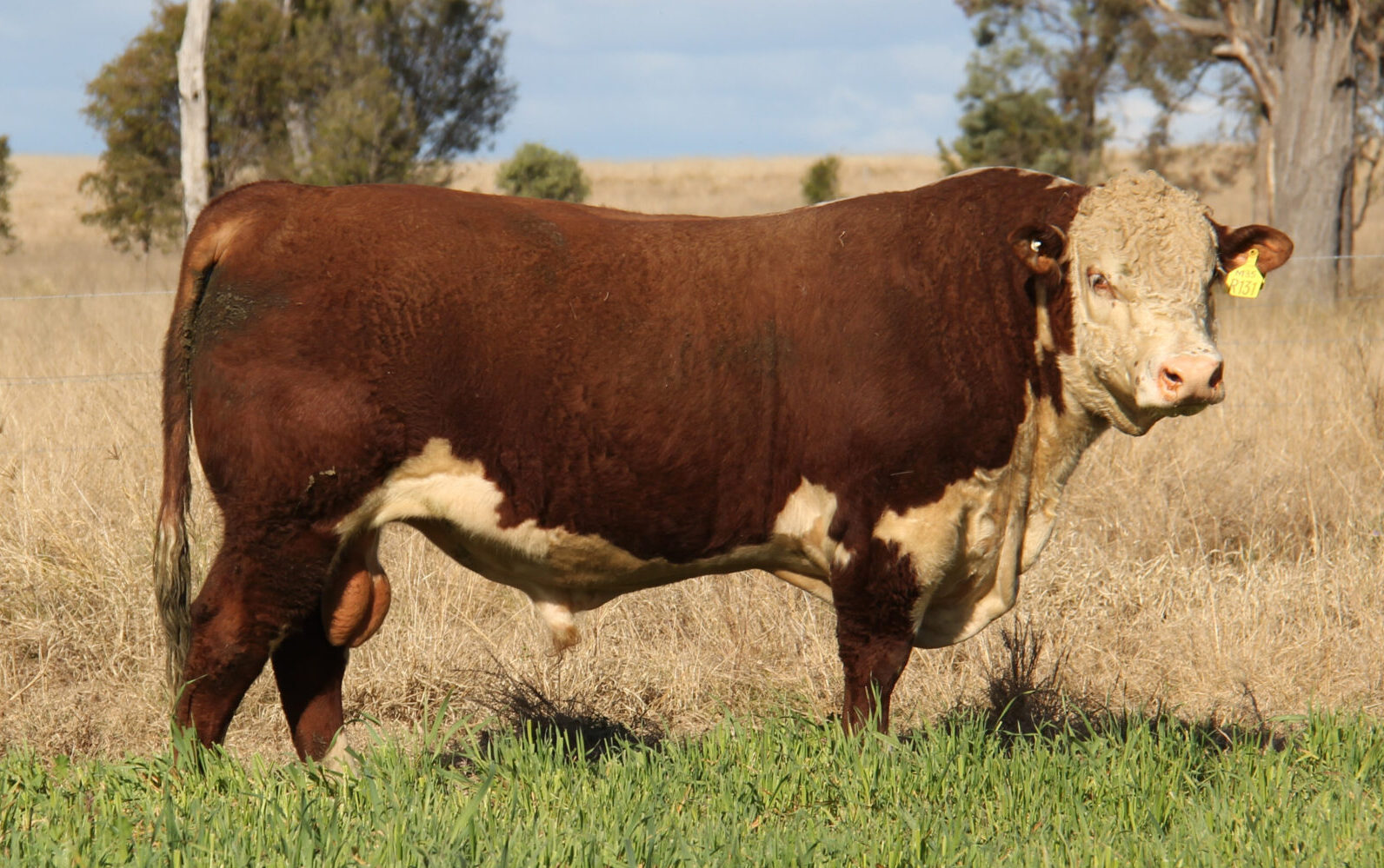 2022 Sale top price $91,000 and record sale ave $19,119.